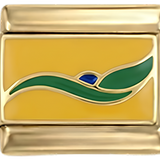 Brasilianisches Abzeichen