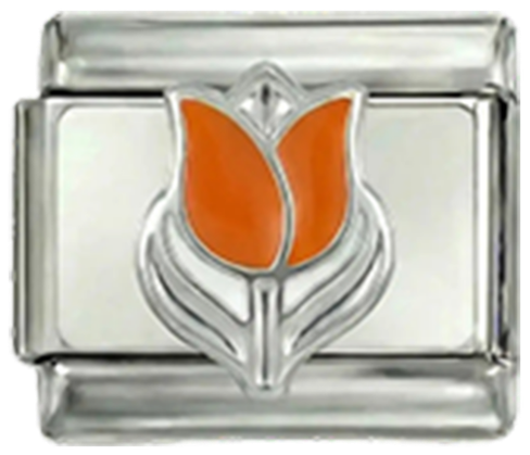 Image de la diapositive