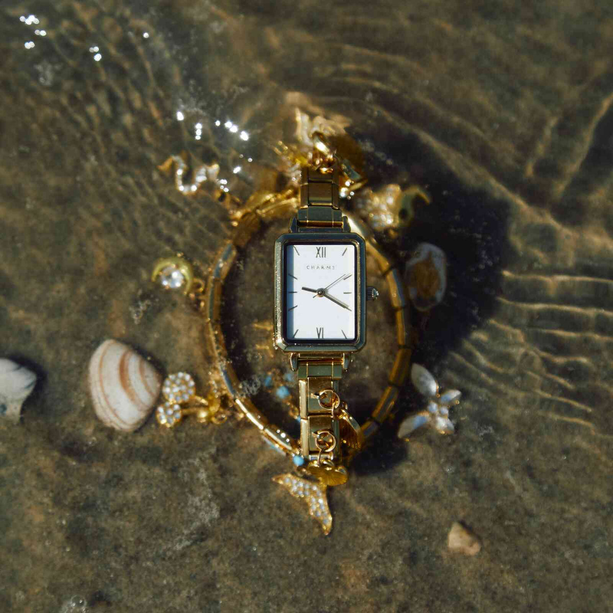 Montres